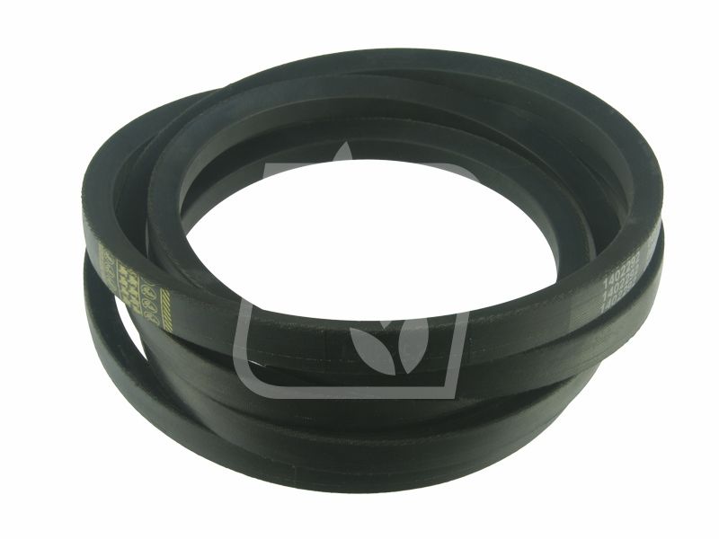 Pas 667683 Claas 22 x 38602 Gates