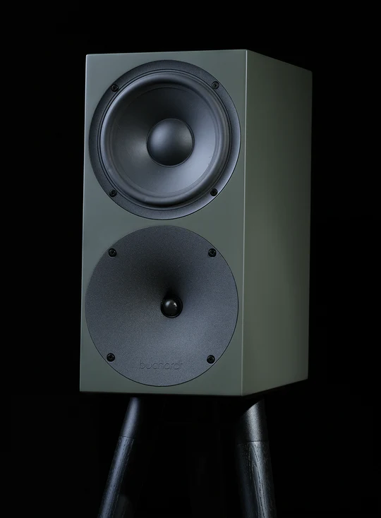Buchardt audio p300