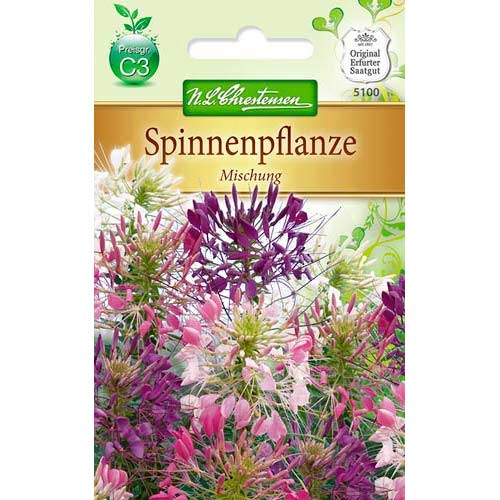 1 szt, Kleome, mix kolorow - Nasiona: Ilość w opakowaniu: 100 szt.