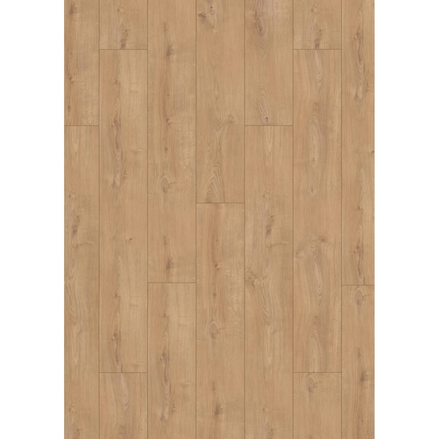 Kronospan Panel podłogowy Dąb Sherwood 8 mm AC 5