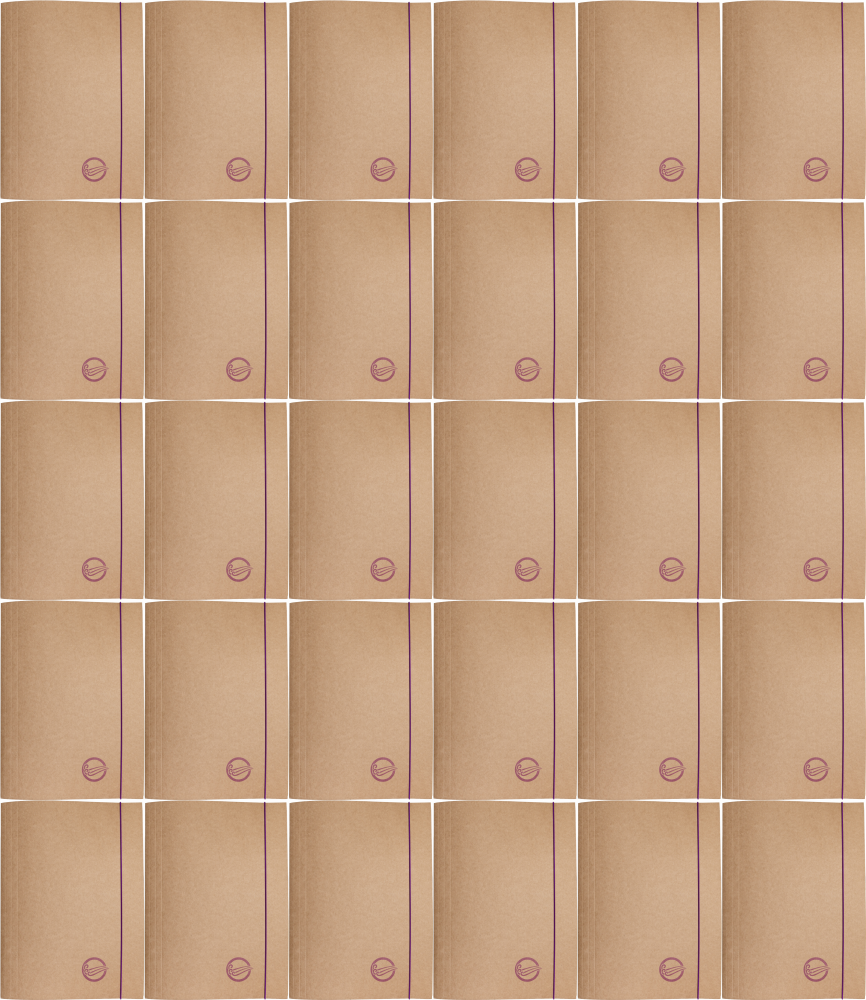 30x Teczka kartonowa z gumką Barbara Eco, A4+, 300g, powietrze