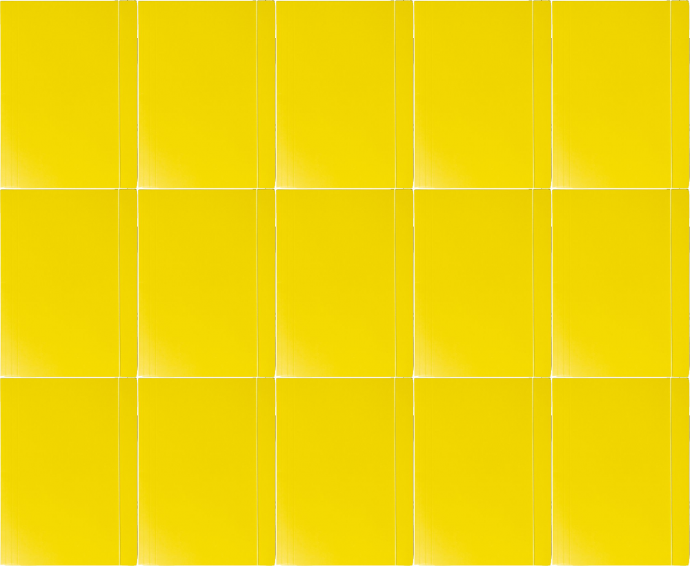 15x Teczka kartonowa z gumką Barbara, lakierowana, A4, 400g, żółty