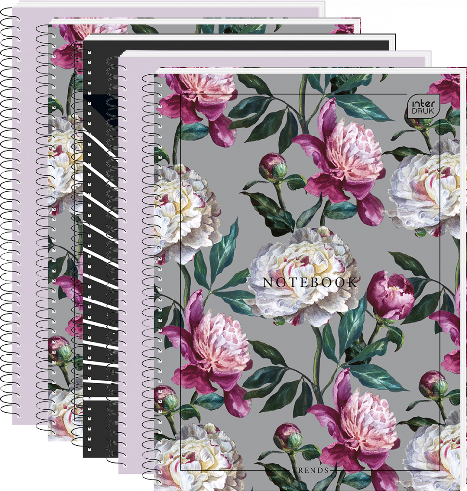 5x Kołonotatnik Interdruk, A5, w linie, 100 kartek, mix wzorów