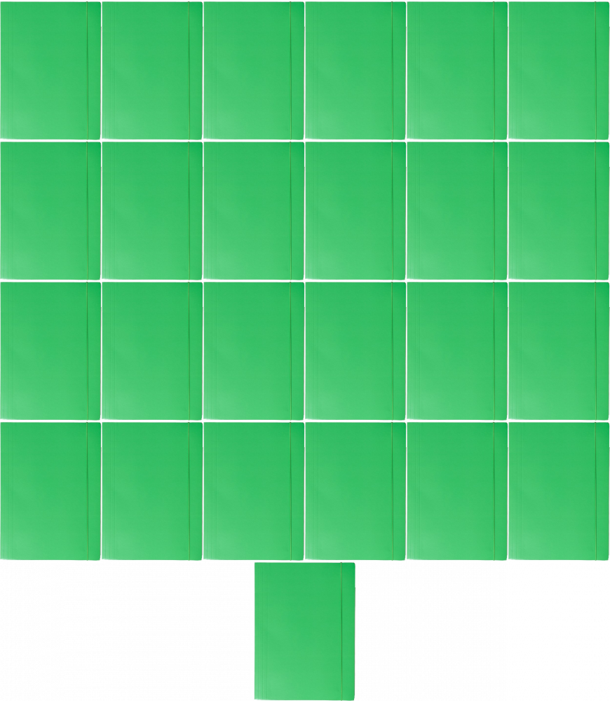 25x Teczka kartonowa z gumką Barbara, lakierowana, A4, 400g, zielony