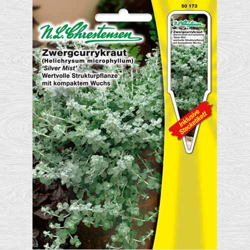 1 pac, Helichrysum microphyllum Silver Mist - Semințe: Mod de ambalare: 1 pac