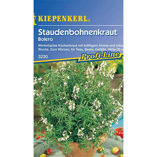 1 pac, Cimbru de iarnă Bolero Kiepenkerl - Semințe: Mod de ambalare: 1 pac