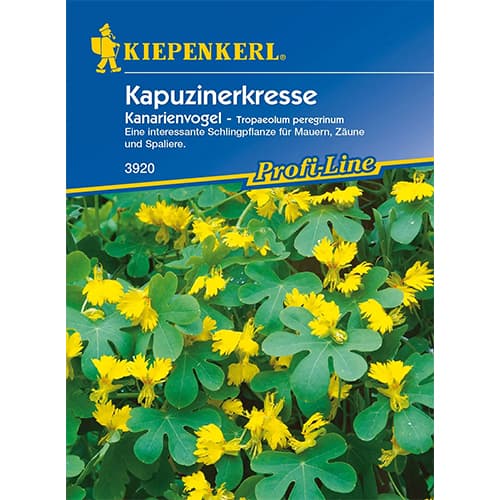 1 pac, Condurul doamnei Canary - Semințe: Mod de ambalare: 1 pac