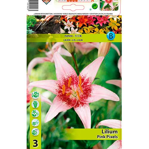 2 buc, Crin Pink Pixels - Bulbi: Mod de ambalare: 2 buc