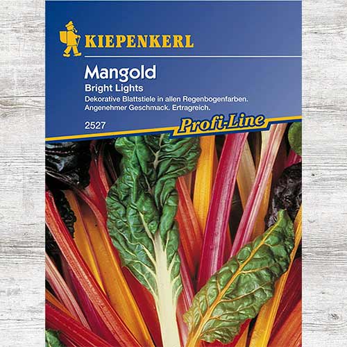 1 pac, Sfeclă elvețiană Bright Lights - Semințe: Mod de ambalare: 1 pac