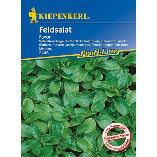 1 ob, Polní salát Favor - : Monžstvo balíkov: 1 ob