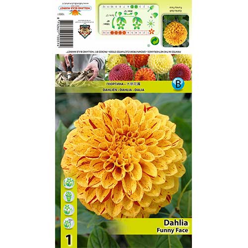 1 kus, Jiřina Funny Face - : Monžstvo balíkov: 1 kus