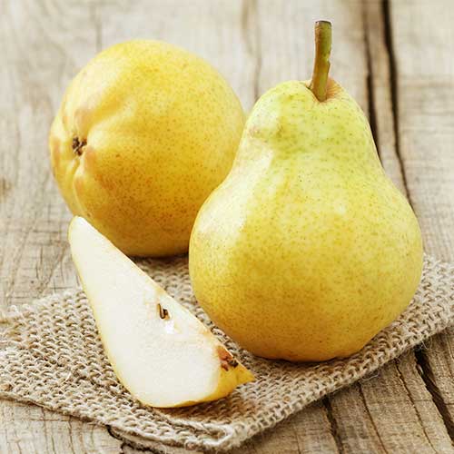 1 saz, Hrušeň Highland - : Monžstvo balíkov: 1 saz