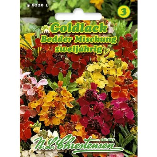 1 szt, Sárgaviola kétéves, színkeverék - Magok: Mod de ambalare: 1 db