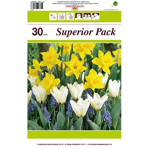 Hihetetlen ajánlat! Nárcisz, Tulipán és Gyöngyike, 30 db készlet - Hagymák: Mod de ambalare: 30 db