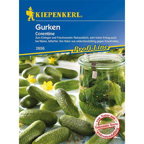 1 szt, Gurke Corentine - Samen: Ilość w opakowaniu: 1 Stück