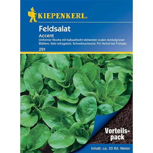 1 szt, Feldsalat Accent - Samen: Ilość w opakowaniu: 1 Stück