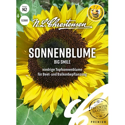 1 szt, Sonnenblume Big Smile Chrestensen - Samen: Ilość w opakowaniu: 1 Stück
