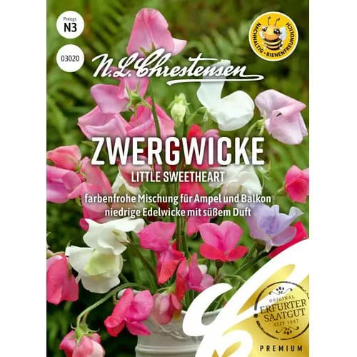 1 szt, Zwergwicke Little Sweetheart - Samen: Ilość w opakowaniu: 1 Stück
