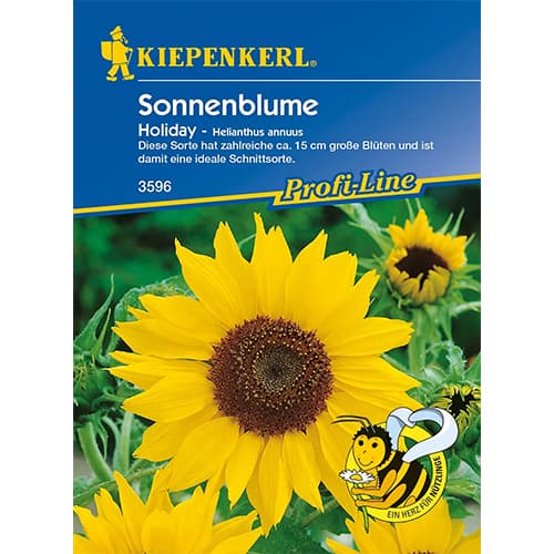 1 szt, Sonnenblume Holiday - Samen: Ilość w opakowaniu: 1 Stück