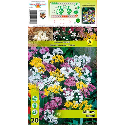 20 Stück, Allium, farbmischung - Blumenzwiebeln: Ilość w opakowaniu: 20 Stück