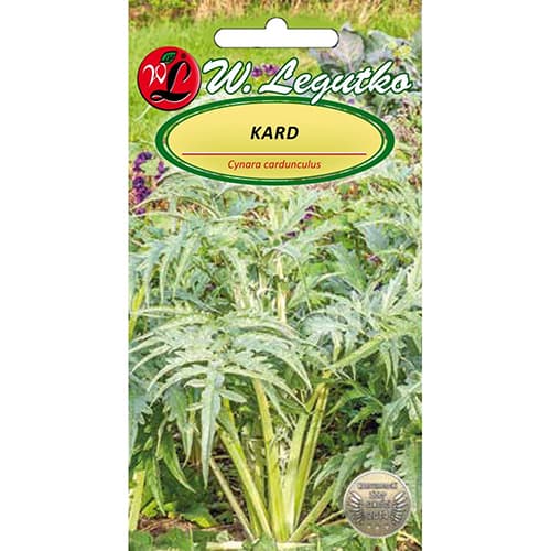 1 szt, Artichocke Bianco - Samen: Ilość w opakowaniu: 0.5 g