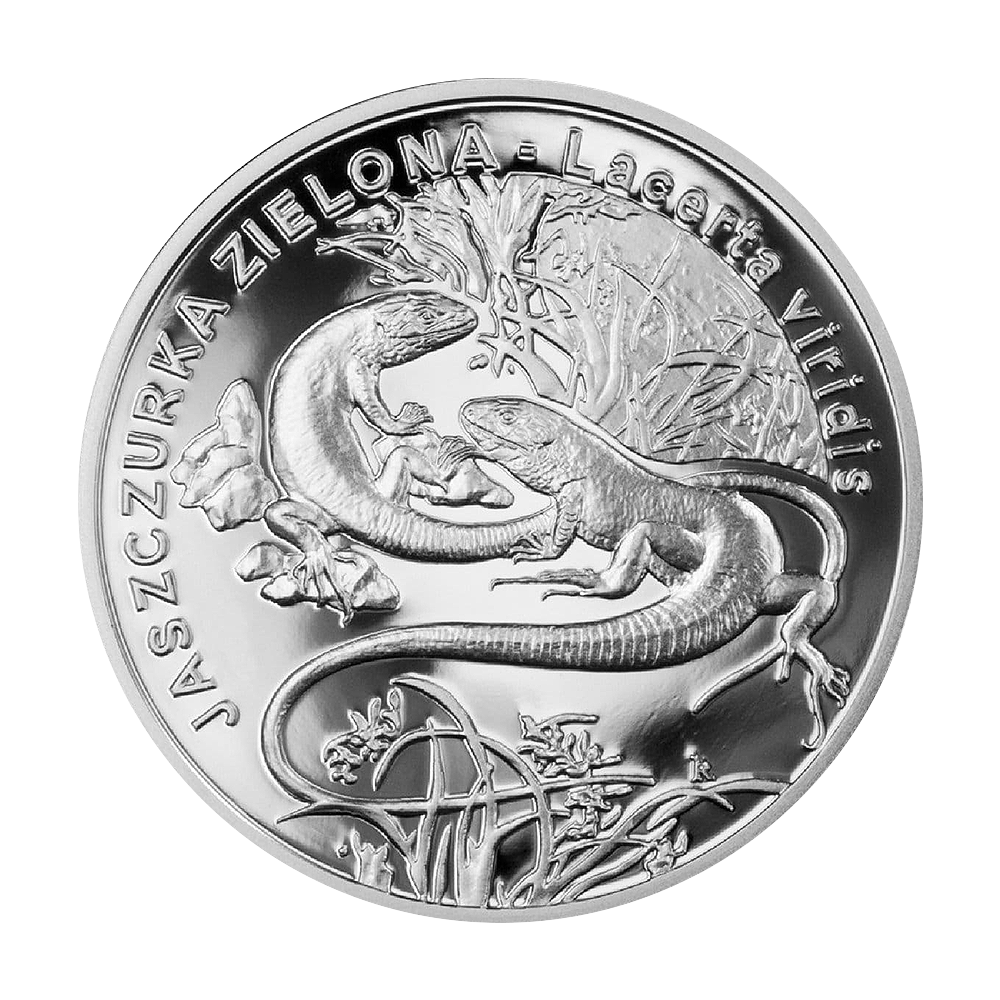 Srebrna moneta Jaszczurka Zielona 2009 - wysyłka 24 h! - Mennica Skarbowa