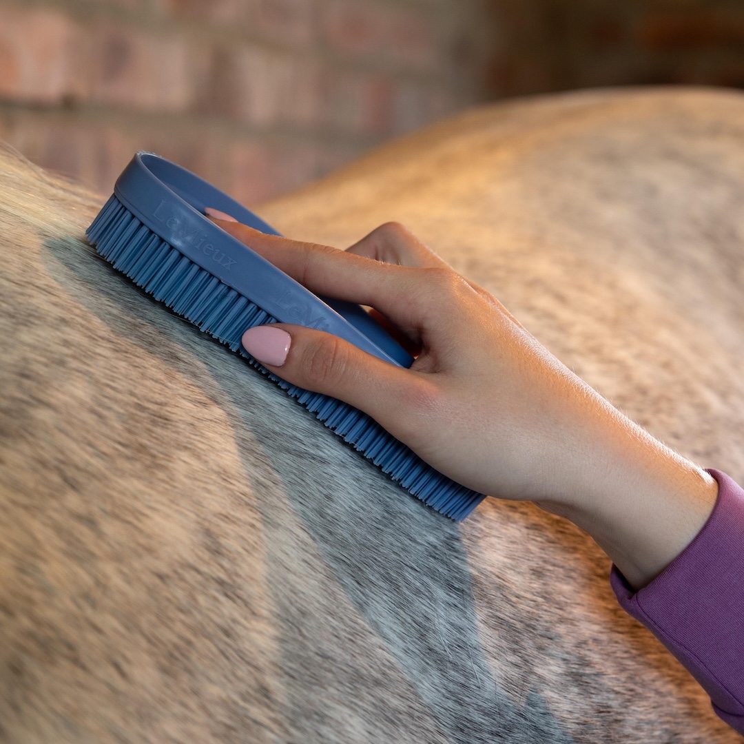 LeMieux LeMieux szczotka Wizard wiosna/lato