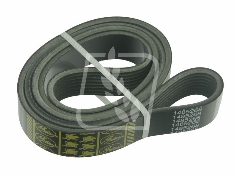 Gates 545954 Pas wielorowkowy 8PK x 1447LB