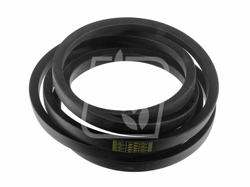 Pas 0902289 22 x 3825