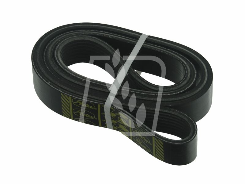 Pas wielorowkowy R135196