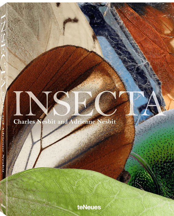 Charles & Adrienne Nesbit. Insecta