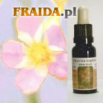 Okrężnica bagienna - Tolerancja