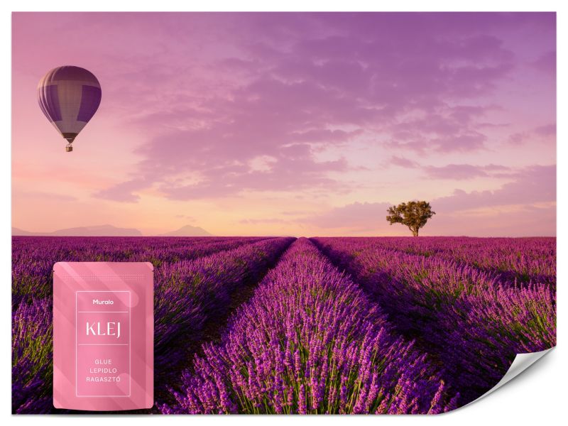 Fototapeta Muralo Pole Lawendy 200x140 cm 1szt.