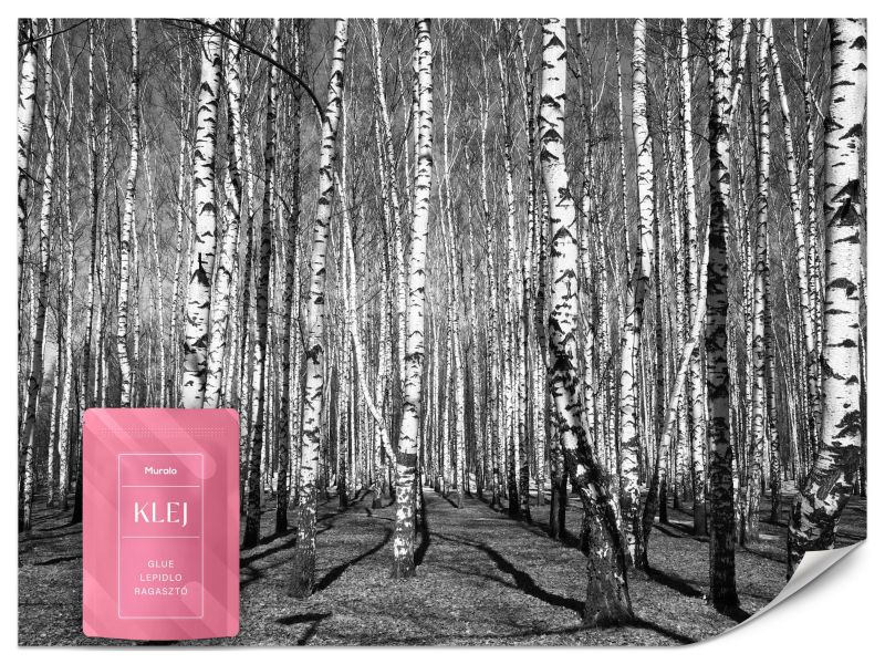 Fototapeta Muralo Las w Czarno Białych Barwach 350x256 cm 1szt.