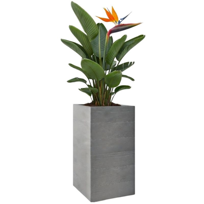 Donica na kółkach Betonique HowHomely szary tworzywo sztuczne 30x30x60 cm 1 szt.