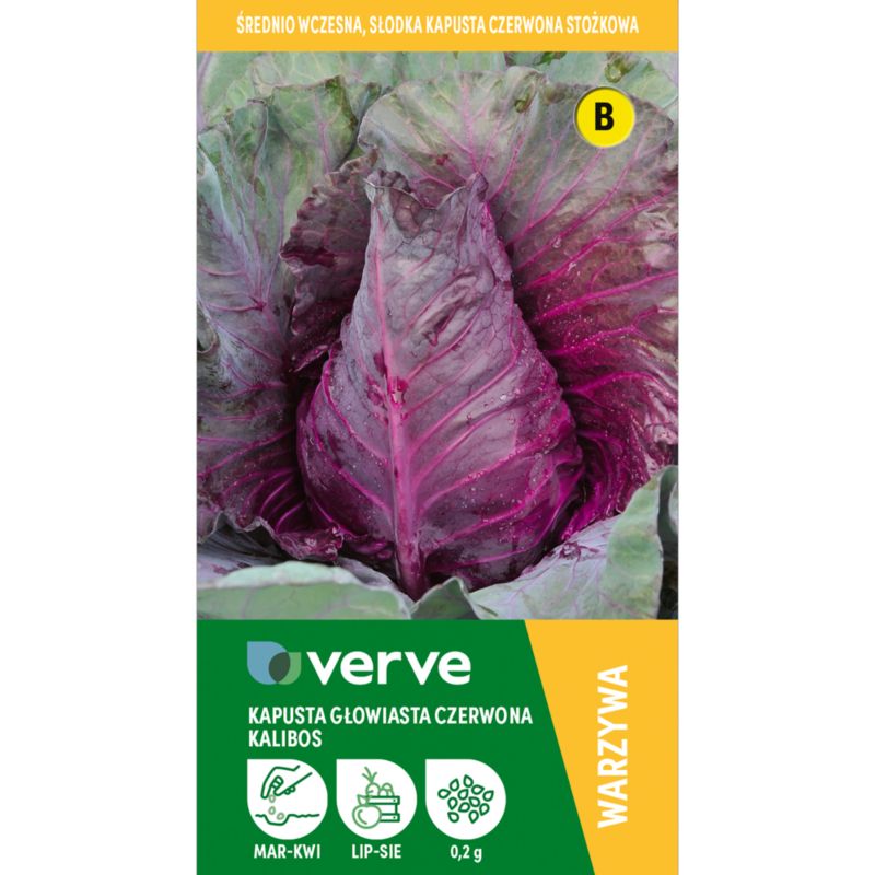 Nasiona kapusta czerwona Kalibos Verve