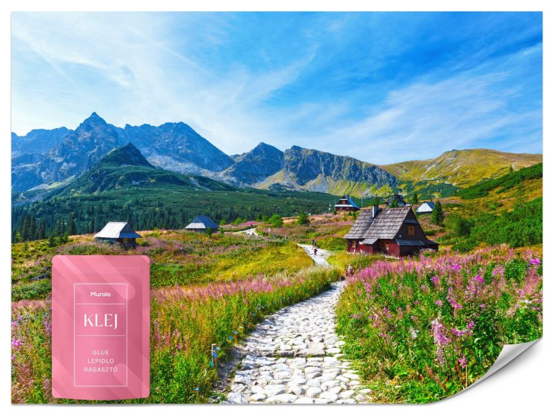 Fototapeta Muralo Ścieżka Górska Krajobraz 400x280 cm 1szt.