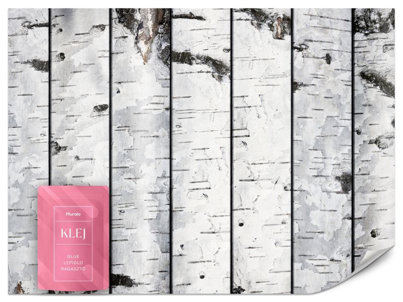 Fototapeta Muralo Brzozy Drzewa Natura 250x175 cm 1szt.