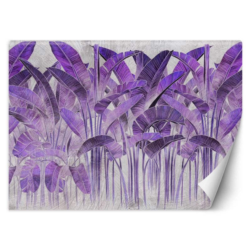 Fototapeta Feeby Fioletowe liście bananowca 250x175 1 szt