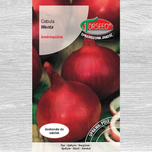 1 szt, Cebula Wenta czerwona - Nasiona: Ilość w opakowaniu: 3 g