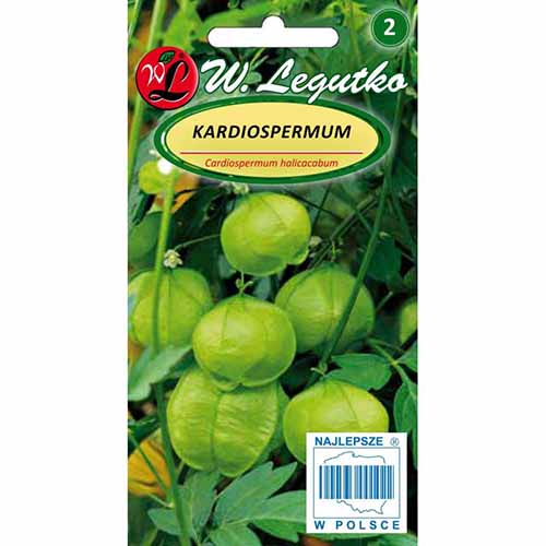 1 szt, Kardiospermum Legutko - Nasiona: Ilość w opakowaniu: 1 g
