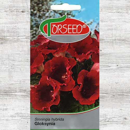 1 szt, Gloksynia, mieszanka - Nasiona: Ilość w opakowaniu: 0.02 g
