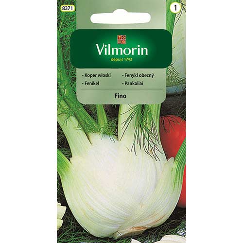 1 szt, Koper włoski (Fenkuł) Fino Vilmorin - Nasiona: Ilość w opakowaniu: 1.5 g