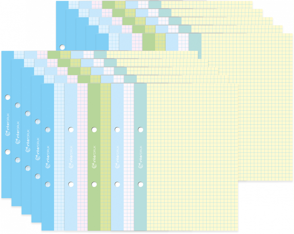 10x wkład do segregatora w kolorową kratkę Interdruk, A5, 50 kartek, kolorowy margines