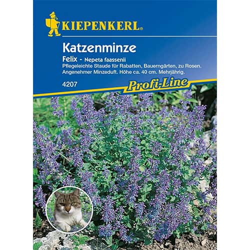 1 pac, Iarba mâței Felix - Semințe: Mod de ambalare: 1 pac