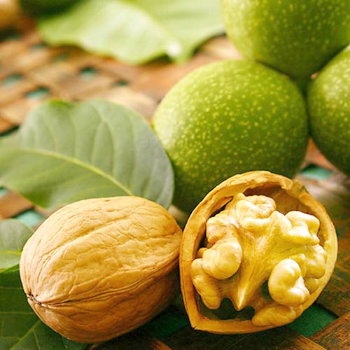 1 buc, Nuc Chandler, С2 - Puieți: Mod de ambalare: 1 buc