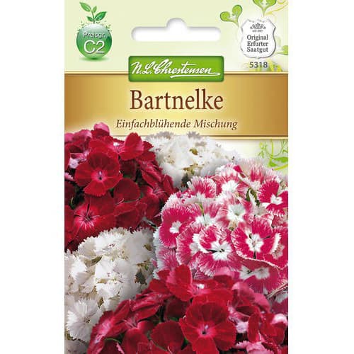 1 ob, Hvozdík turecký jednokvětý, směs - : Monžstvo balíkov: 1 ob