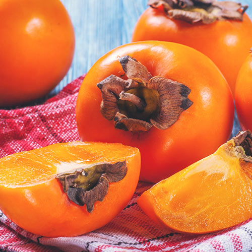 1 saz, Tomel japonský Chocolate - : Monžstvo balíkov: 1 saz