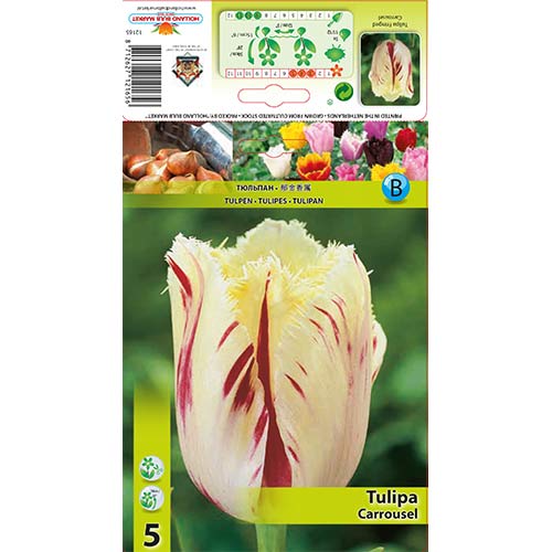 5 kus, Tulipán Carrousel - : Monžstvo balíkov: 5 kus
