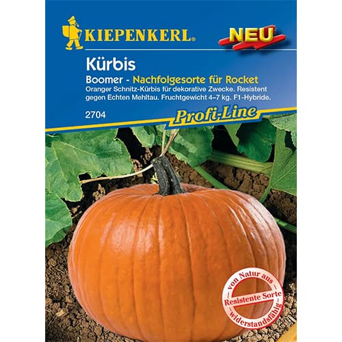 1 szt, Tök Boomer F1 - Magok: Mod de ambalare: 1 db